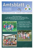 Amtsblatt der Stadt Dommitzsch, Ausgabe August 2026. Themen: Stadtratsbeschluesse, Amtliche Bekanntmachungen, Haushalt und Finanzen, Satzungen und Verordnungen, Stellenausschreibungen, Veranstaltungen, Informationen rund um das Gänsebrunnenfest